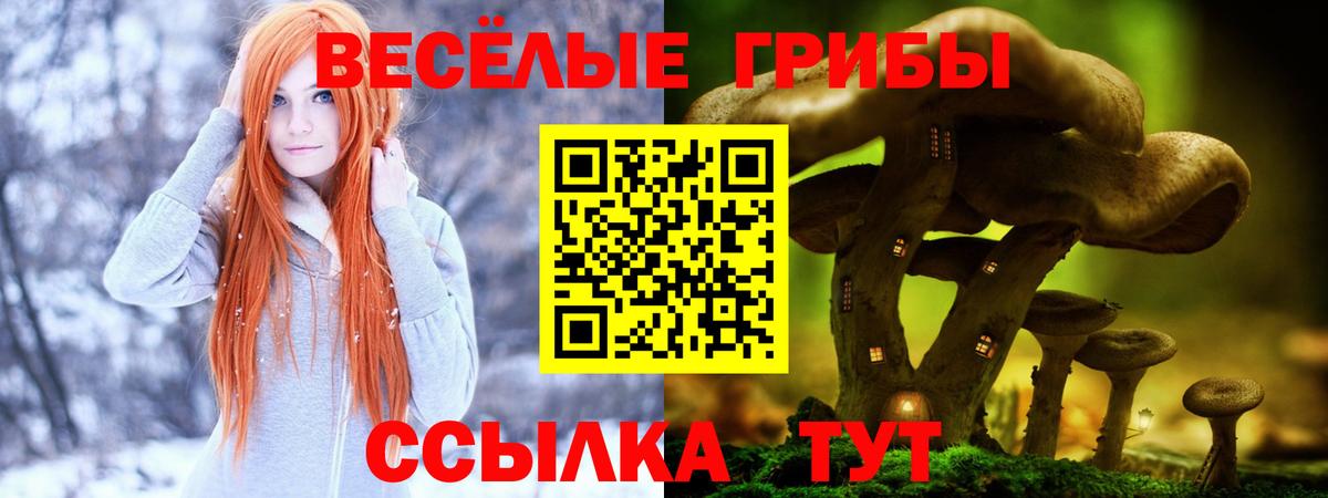 купить наркотик  Вход с VPN  Коркино  Галлюциногенные грибы прущие грибы 